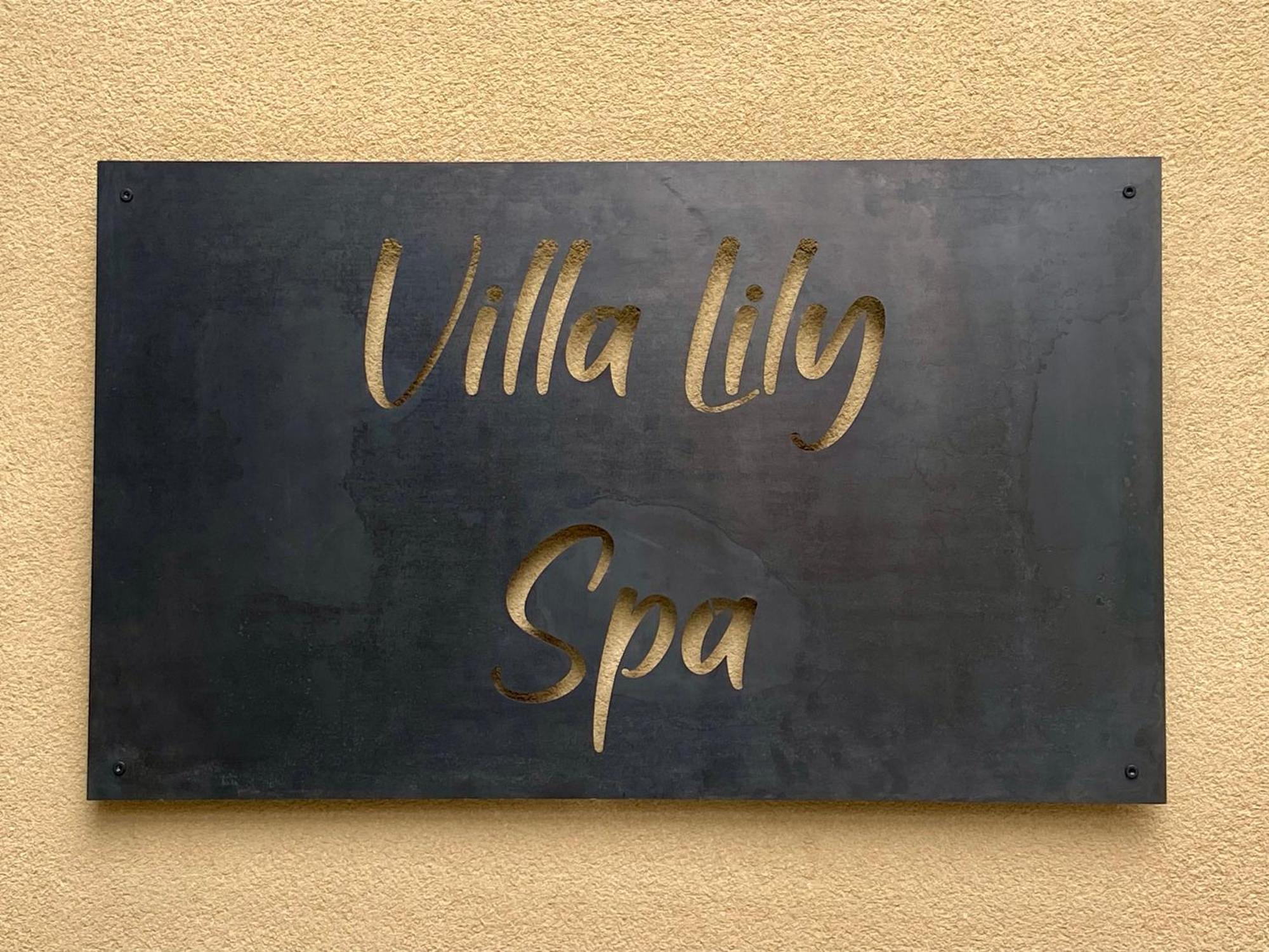 Villa Lily Spa, Chambre D'Hotes Avec Spa Privatif La Vicomté-sur-Rance Buitenkant foto